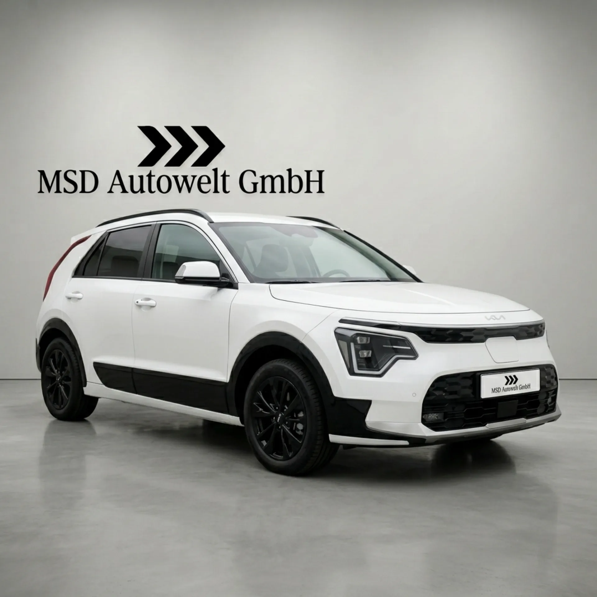 2024 Kia Niro EV – Nur 4.723 km!